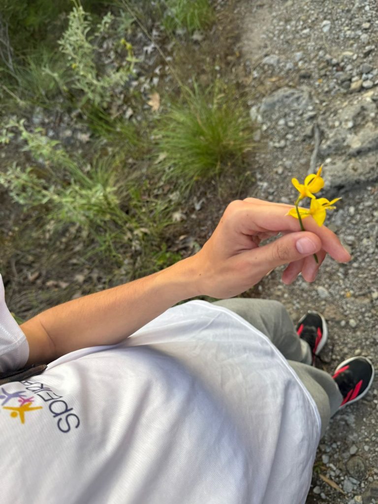 IMG-20250608-WA0058