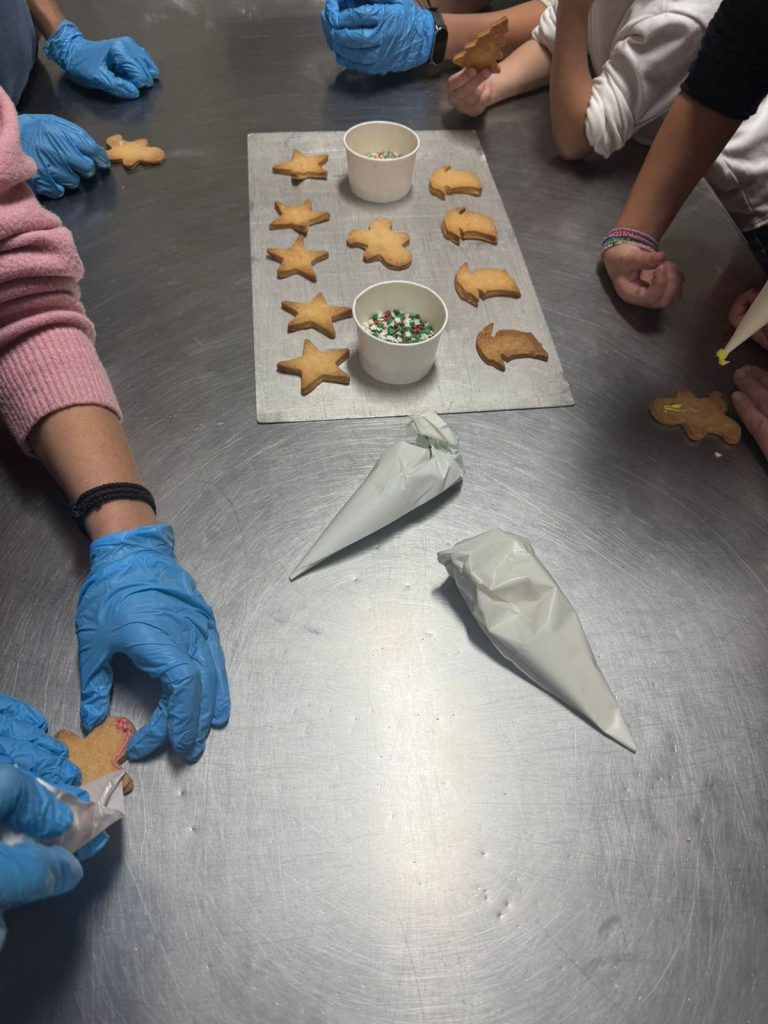 WhatsApp Image 2025-12-13 at 1.46.17 AM (6) WhatsApp Image 2025-12-13 at 1.46.17 AM (6)